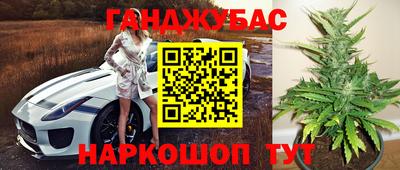 крисы Коломна