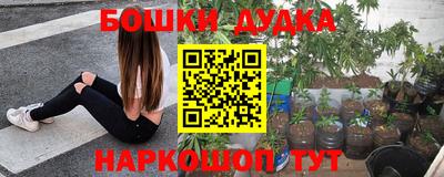 крисы Коломна