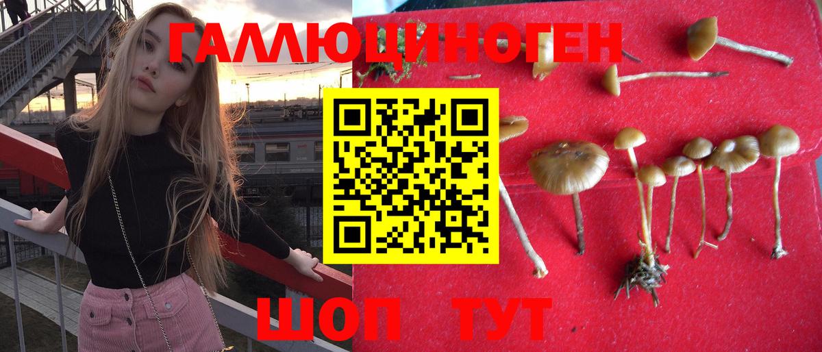 Галлюциногенные грибы Cubensis Бахчисарай