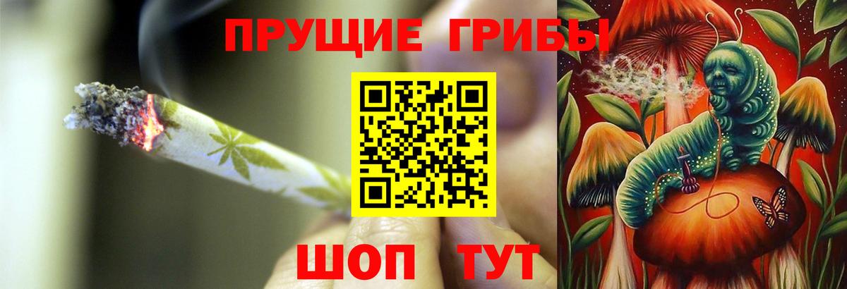 Бахчисарай  Галлюциногенные грибы Psilocybe  Вход с VPN 